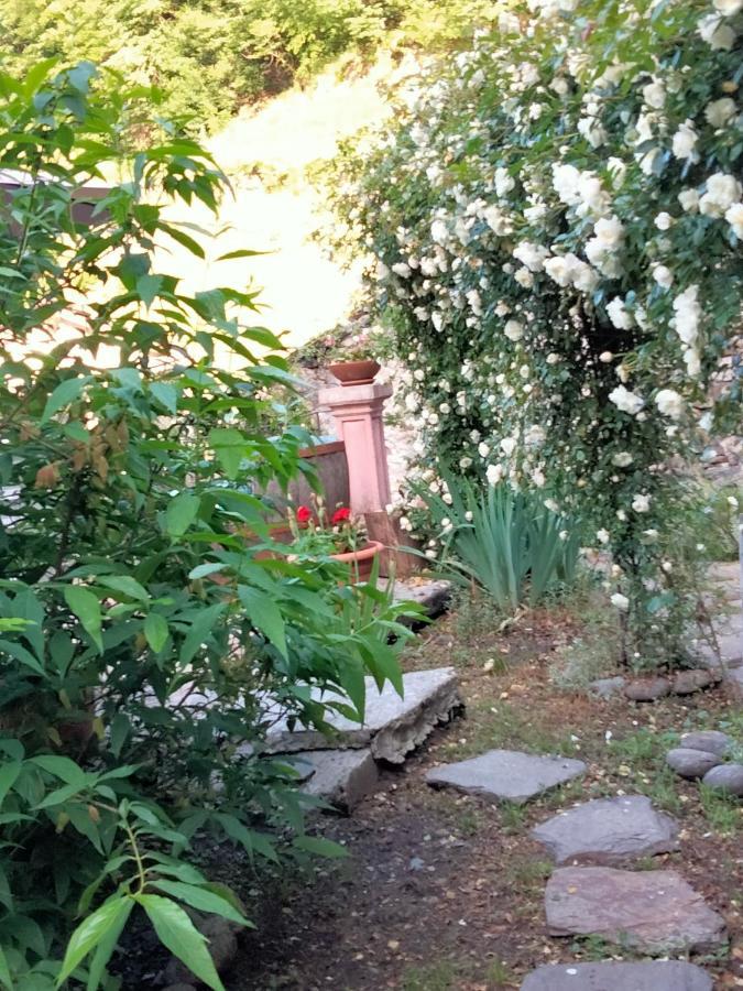 Shanty Calasca-Castiglione Exterior foto